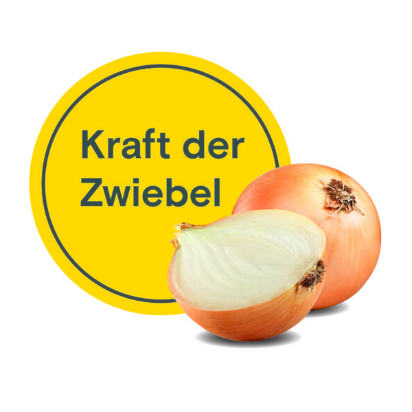 Kraft der Zwiebeln